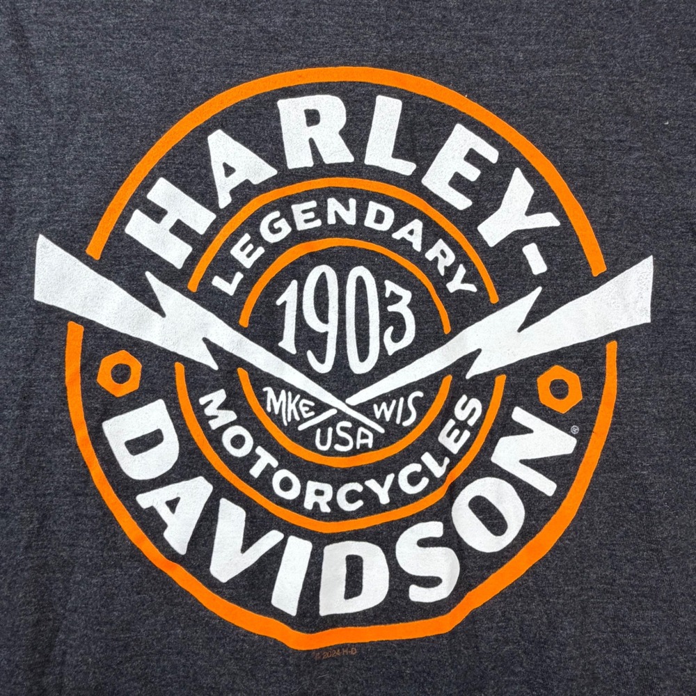 Harley-Davidson Chicago IL Long Sleeve Graphic T-Shirt Mens Medium Charcoal Grey